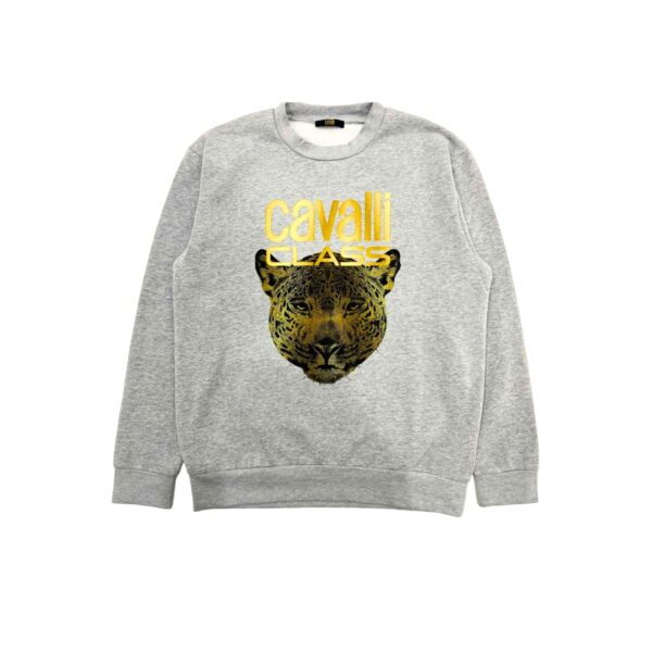 Cavalli Class QXT66BCF062_05014GreyMelange – Sweatshirt