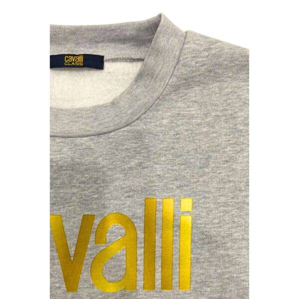 Cavalli Class QXT66BCF062_05014GreyMelange – Sweatshirt