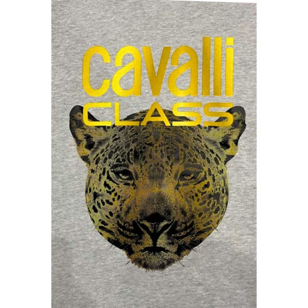 Cavalli Class QXT66BCF062_05014GreyMelange – Sweatshirt