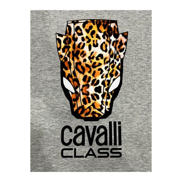 Cavalli Class QXT67YCF062_05014GreyMelange – Sweatshirt