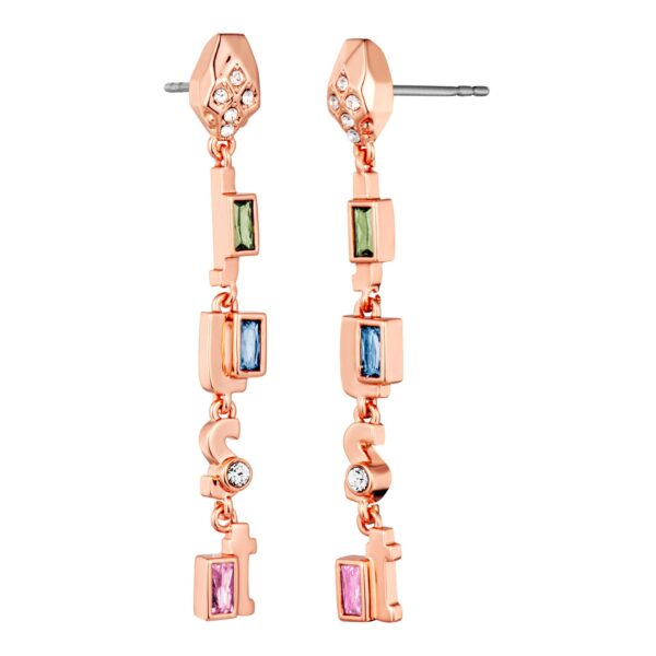Just Cavalli X093_JCER01843300 – Oorbellen