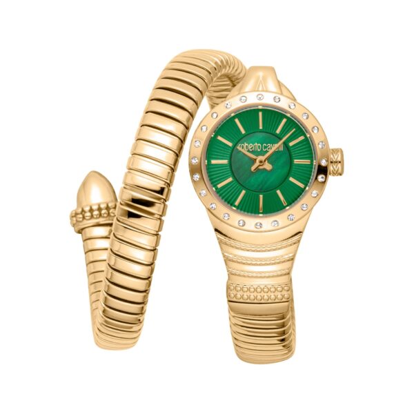 Roberto Cavalli X093_RC5L114M0035 – Horloge